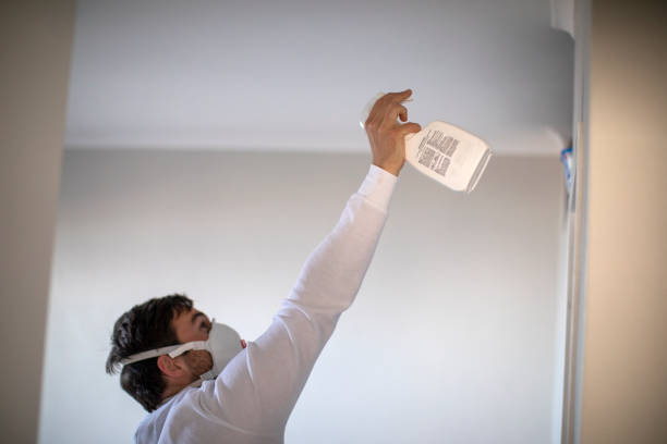 Best Black Mold Removal  in Sherman, TX