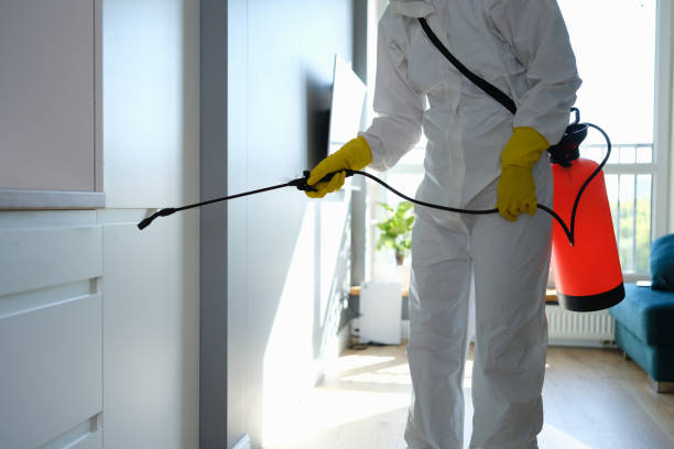 Best Mold Testing  in Sherman, TX