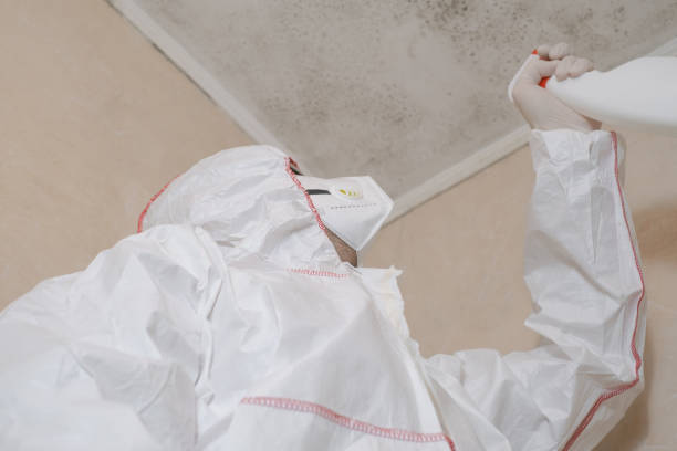 Sherman, TX Mold Removal Company